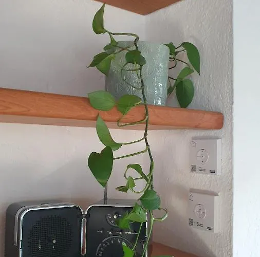 Mansarda Laurent Apartmán *